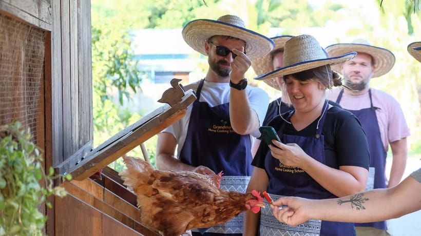 Chiang Mai: Authentic Cooking Class with Market & Farm Visit - Should You Book Grandma’s Home Cooking School?