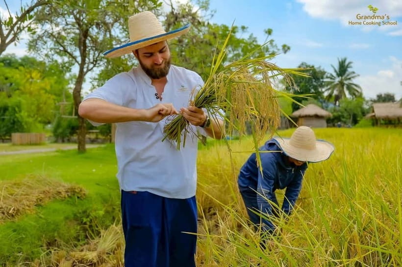 Chiang Mai: Authentic Cooking Class with Market & Farm Visit - Who Will Enjoy This Most