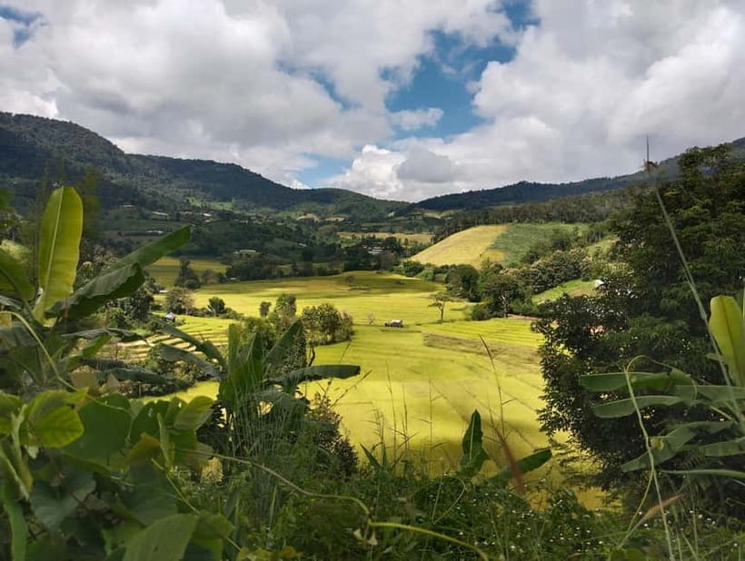 Chiang Mai Authentic Trekking - Key points to know before booking
