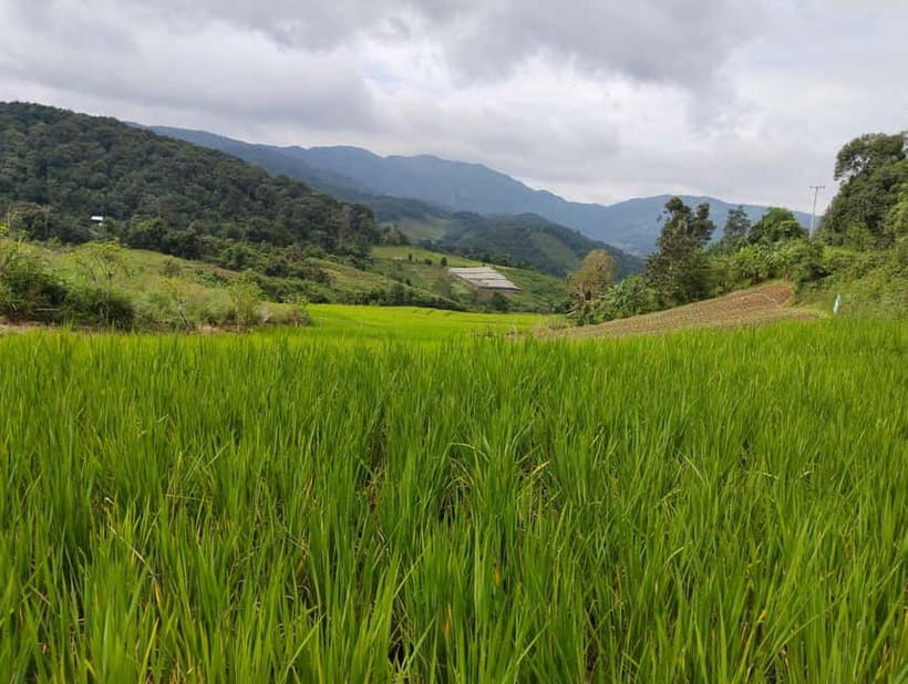Chiang Mai Authentic Trekking - Why this Chiang Mai trek feels different