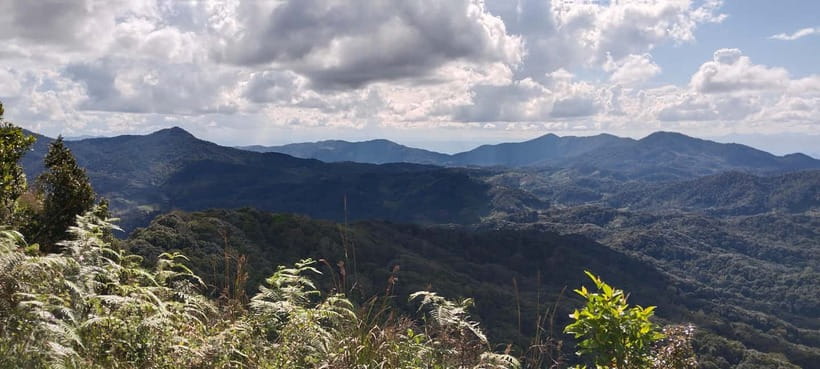 Chiang Mai Authentic Trekking - A mountain viewpoint before Khun Poi
