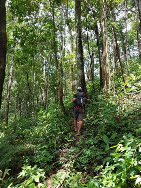 Chiang Mai Authentic Trekking - Reaching Phalai Mountain