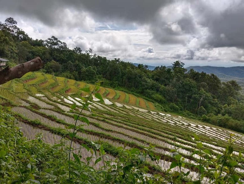 Chiang Mai Authentic Trekking - Walking through farms after lunch