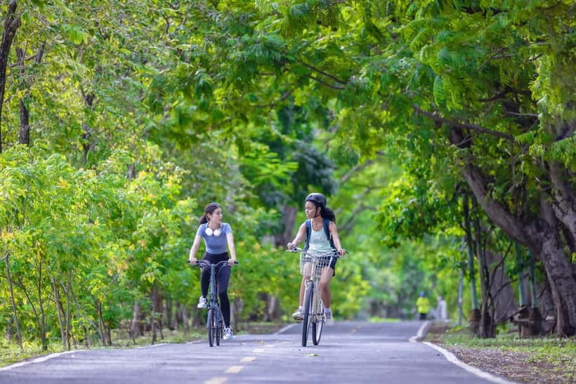 Chiang Mai Bicycle: Into The Lanna Countryside Guided Tour - What the $53 price includes