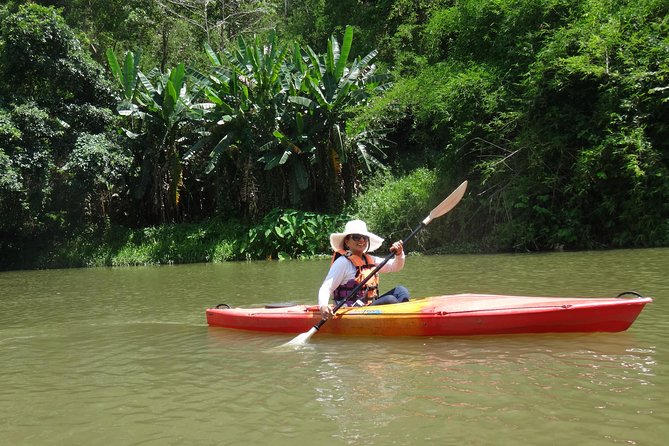 Chiang Mai Biking & River Kayak : Gentle Thrills in a Lush Valley - Key points at a glance