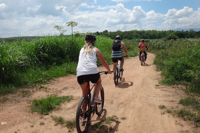 Chiang Mai Biking & River Kayak : Gentle Thrills in a Lush Valley - Lunch at Mango Plantation Restaurant