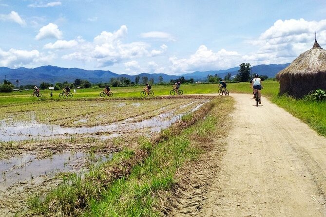 Chiang Mai Biking & River Kayak : Gentle Thrills in a Lush Valley - What the equipment and support really mean
