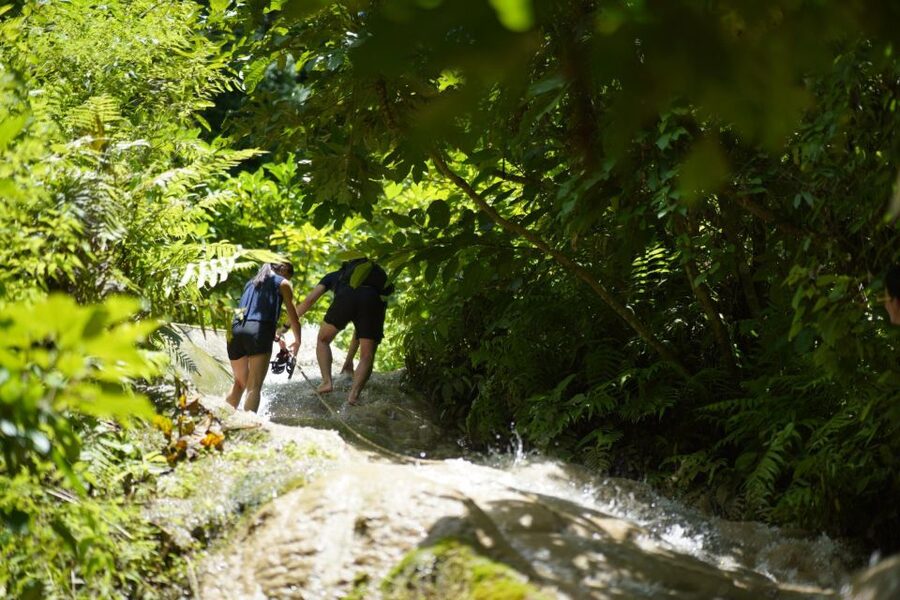 Chiang Mai: Bua Thong Sticky Waterfall & Huge Cave & Buffet - Who should book this day trip