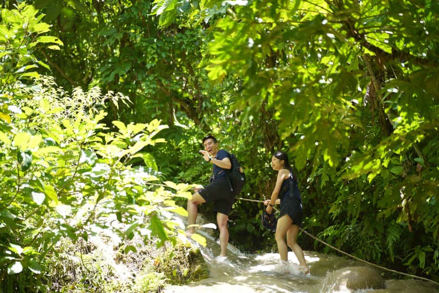 Chiang Mai: Bua Thong Sticky Waterfall & Huge Cave & Buffet - The 8:30 a.m. pickup and drive from Chiang Mai