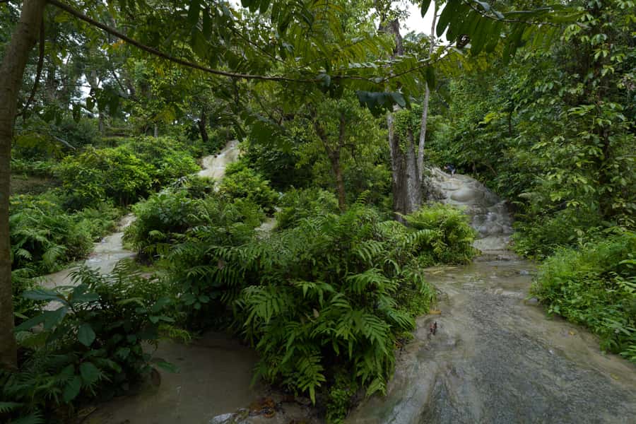 Chiang Mai: Bua Thong Sticky Waterfall & Huge Cave & Buffet - Lunch, fruit, and the real value of the $30 price