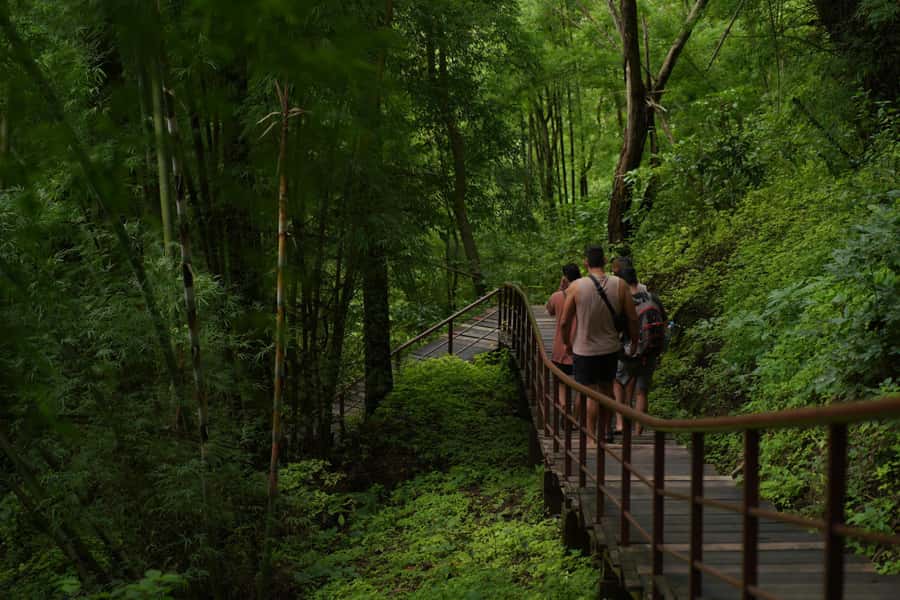 Chiang Mai: Bua Thong Sticky Waterfall & Huge Cave & Buffet - What the day demands physically