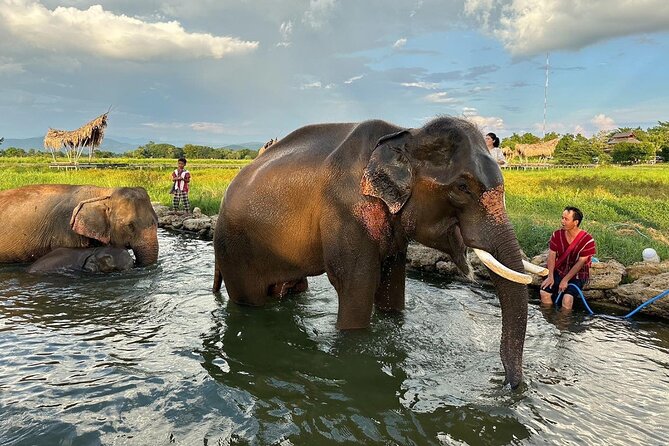 Chiang Mai Chapulin Elephant Care and Sticky Waterfall - Lunch, drinks, and the cafe finish