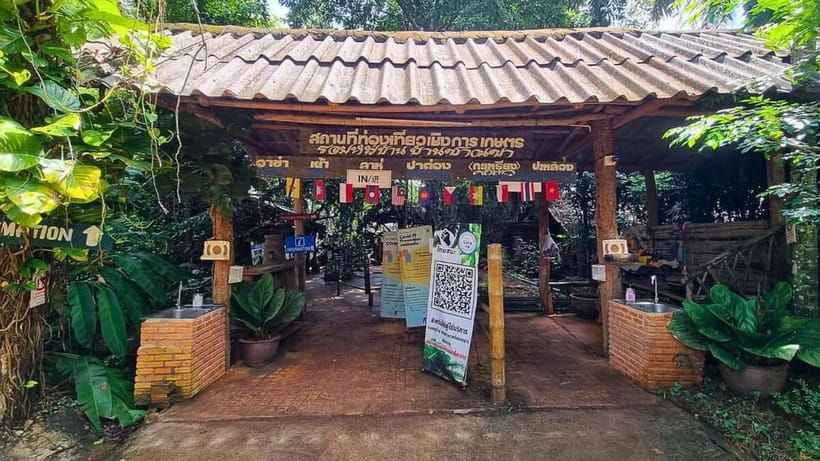 Chiang Mai: Chiang Rai Temples, Golden Triangle & Boat Tour - Thai lunch and northern flavors