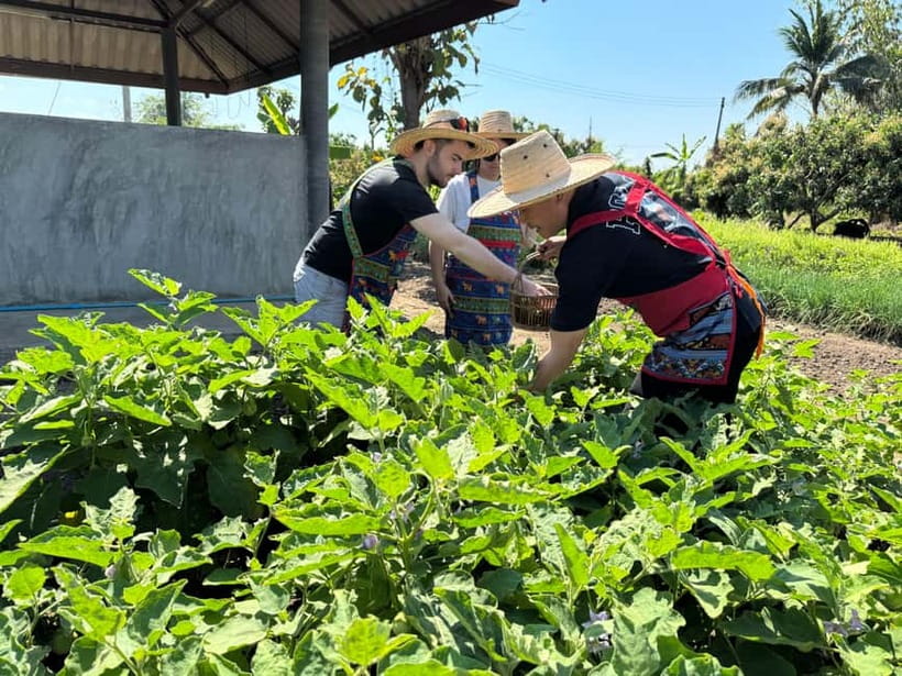 Chiang Mai : Cook in Farm, Market tour & Go by a Local Train - Should you book this Chiang Mai cooking class?