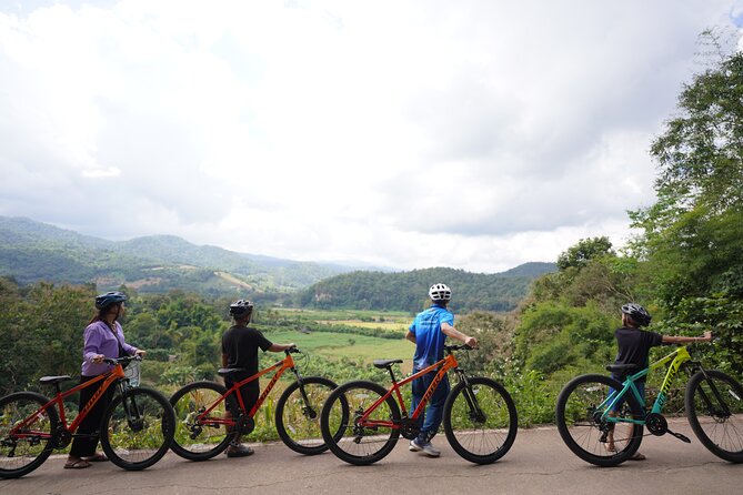 Chiang Mai: Cycling Nam Phare Countrysides, Breezy-Relax & Lunch - Rice fields, villages, and the quieter side of Chiang Mai