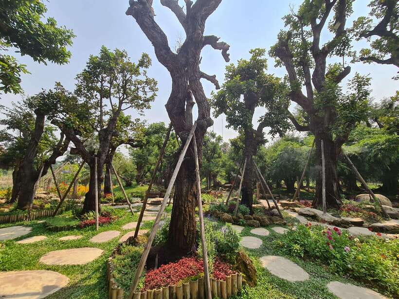 Chiang Mai: Dantewada Land of Angels & Sticky Waterfall Tour - Is $54 good value from Chiang Mai?