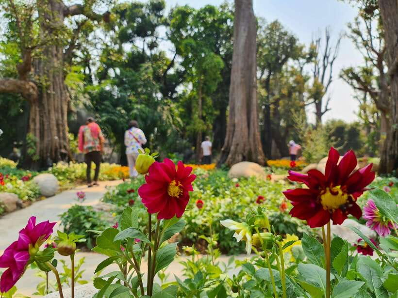 Chiang Mai: Dantewada Land of Angels & Sticky Waterfall Tour - Should you book the Dantewada and Sticky Waterfall tour?