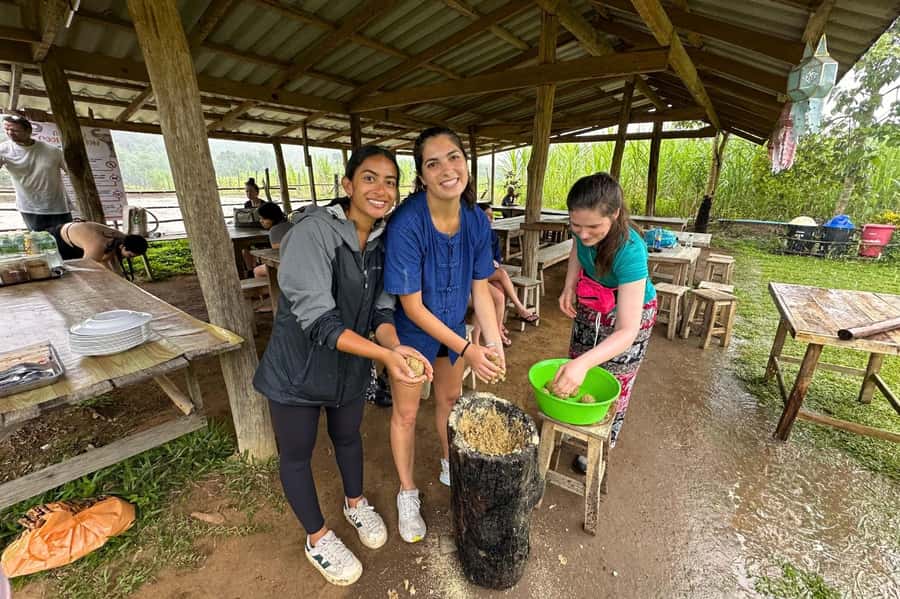 Chiang Mai: Day for Elephant Observation Only Half-day Trip - Why Big Boy’s no-touch approach matters