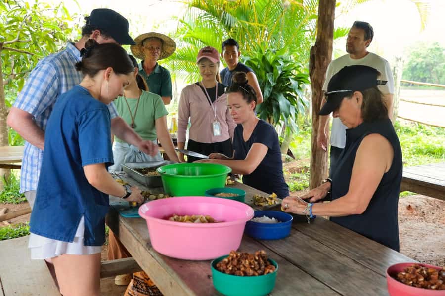 Chiang Mai: Day for Elephant Observation Only Half-day Trip - Habitat care and vitamin feeding