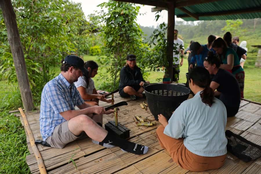 Chiang Mai: Day for Elephant Observation Only Half-day Trip - Who should book this experience