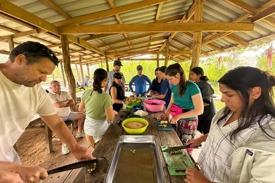Chiang Mai: Day for Elephant Observation Only Half-day Trip - An elephant briefing before the activities begin