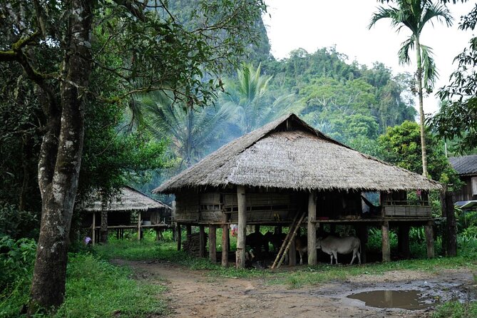 Chiang Mai Day Tour: Chiang Dao Cave and Hill Tribes - What is covered for $52.14