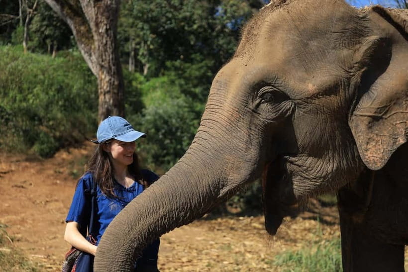 Chiang Mai: Doi Inthanon Hiking & Elephant Sanctuary Program - Pad Thai, then the road to Doi Inthanon