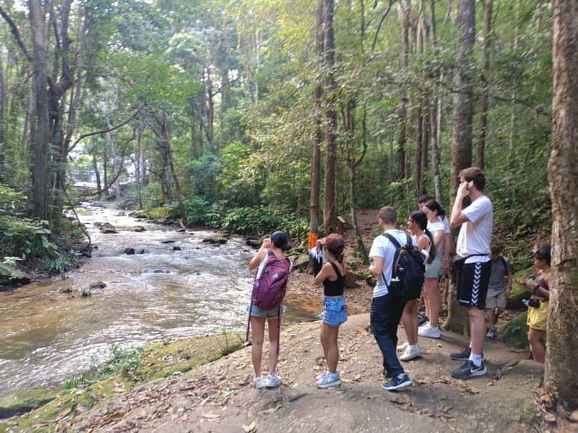 Chiang Mai: Doi Inthanon Hiking & Elephant Sanctuary Program - Karen coffee and a taste of local life
