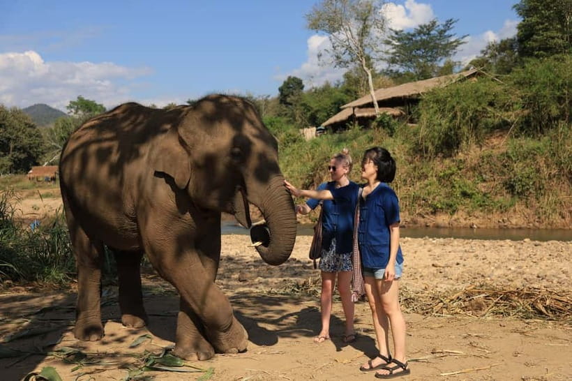 Chiang Mai: Doi Inthanon Hiking & Elephant Sanctuary Program - What to pack for this particular day