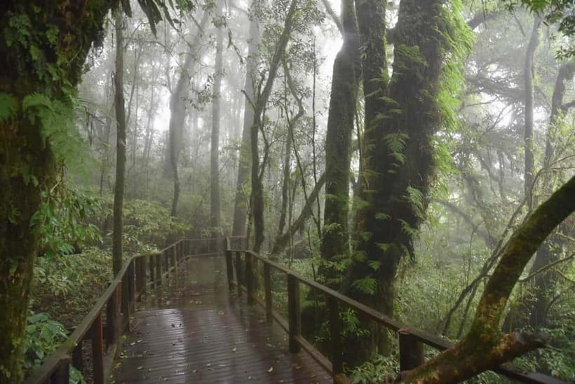 Chiang Mai: Doi Inthanon National Park and Kew Mae Pan Tour - Reaching Doi Inthanon’s cool mountain summit