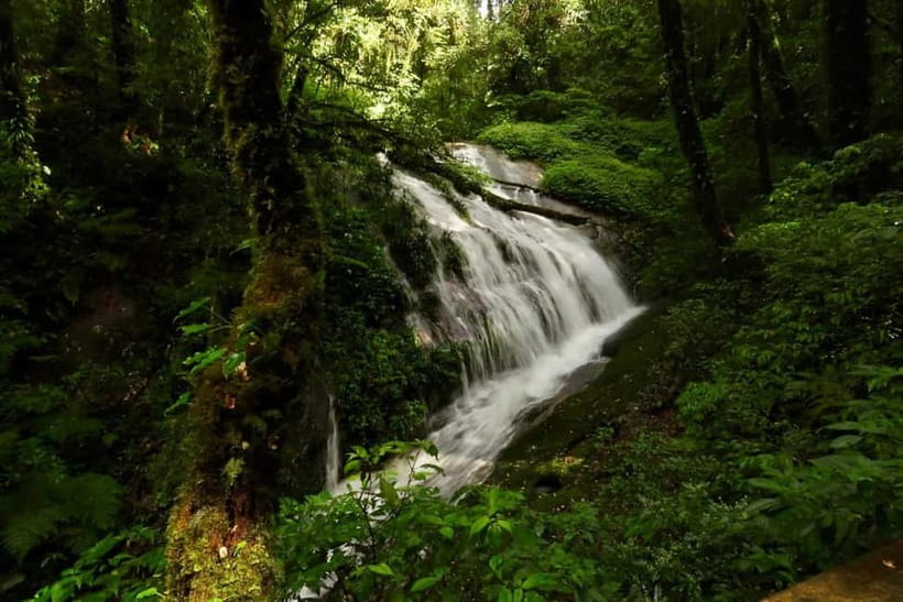 Chiang Mai: Doi Inthanon National Park and Kew Mae Pan Tour - Ban Mae Klang Luang and its coffee culture