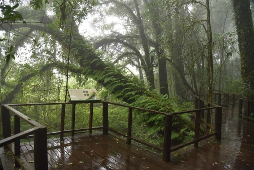 Chiang Mai: Doi Inthanon National Park and Kew Mae Pan Tour - Final verdict: a strong overview with a rushed edge