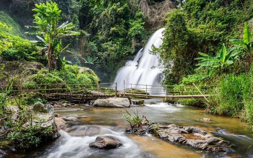 Chiang Mai: Doi Inthanon National Park and Pha Dok Siew Trek - Why Doi Inthanon makes such a good day trip