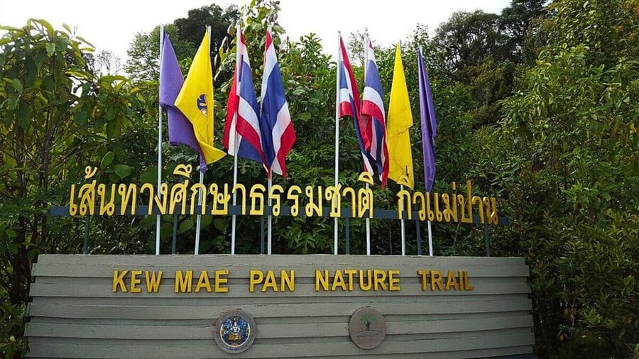 Chiang Mai:Doi Inthanon National Park & Hike at Kew Mae Pan - Hmong market, lunch, and the shopping pause