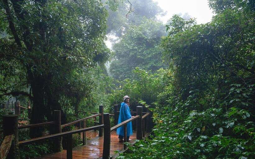 Chiang Mai: Doi Inthanon National Park Sightseeing Only - What the $39 price really covers