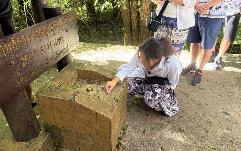 Chiang Mai: Doi Inthanon National Park Sightseeing Only - Ang Ka Nature Trail: short, cool, and atmospheric