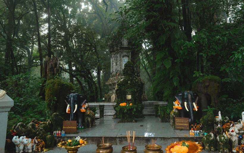 Chiang Mai: Doi Inthanon National Park Sightseeing Only - Sirithan Waterfall before lunch