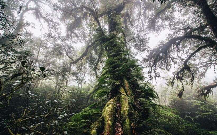 Chiang Mai: Doi Inthanon National Park Sightseeing Only - Hmong market and Ban Mae Klang Luang