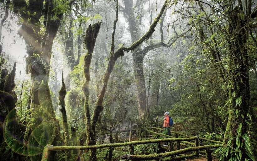 Chiang Mai: Doi Inthanon National Park Sightseeing Only - The road to Thailand’s highest mountain