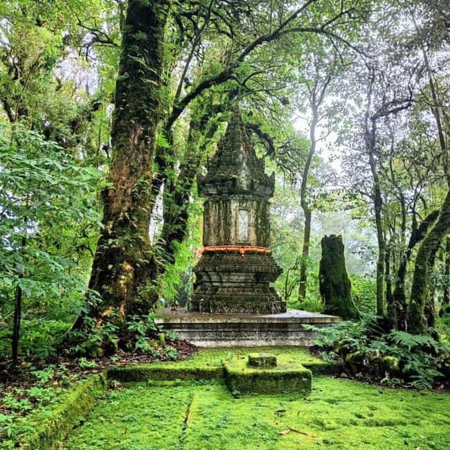 Chiang Mai: Doi Inthanon National Park+Trek Pha Dok Siew - Lunch before the Pha Dok Siew walk