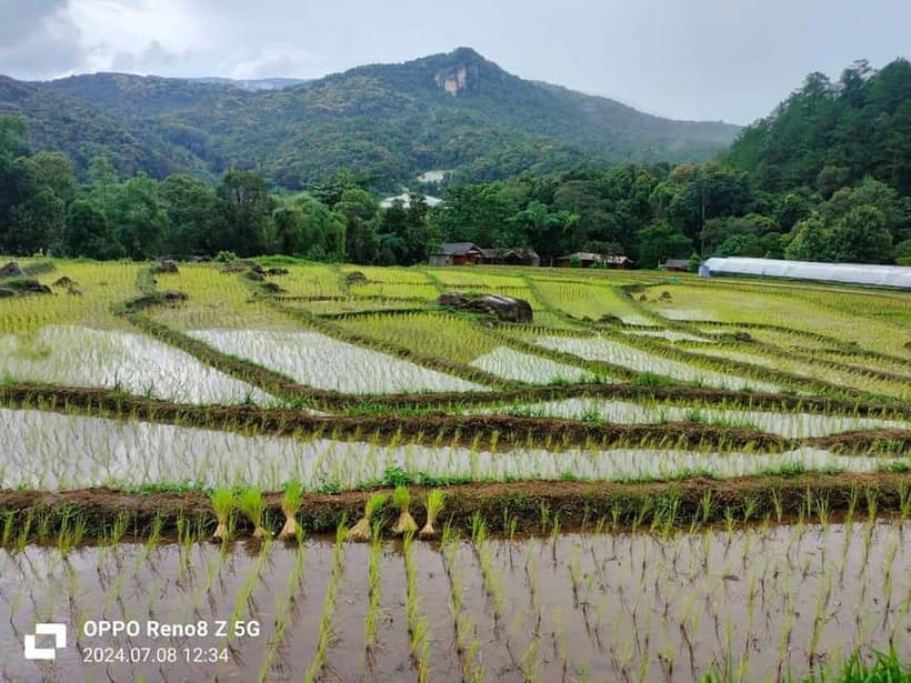 Chiang Mai: Doi Inthanon National Park+Trek Pha Dok Siew - The Hmong Market and local shopping