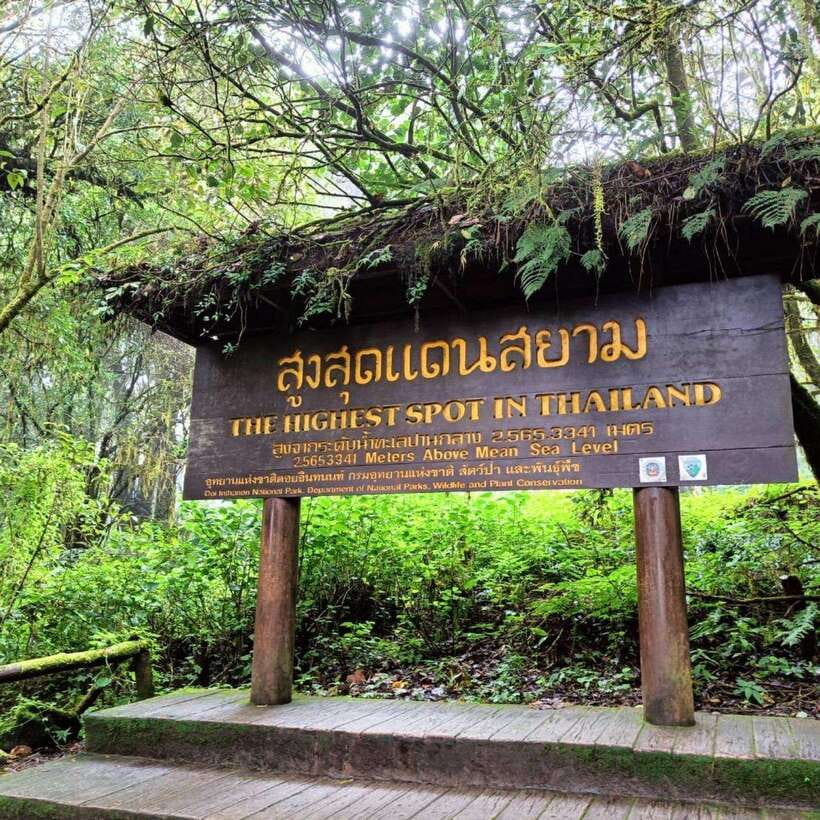 Chiang Mai: Doi Inthanon National Park & Waterfall Day Tour - Ang Ga trail, a 25 to 30 minute forest walk