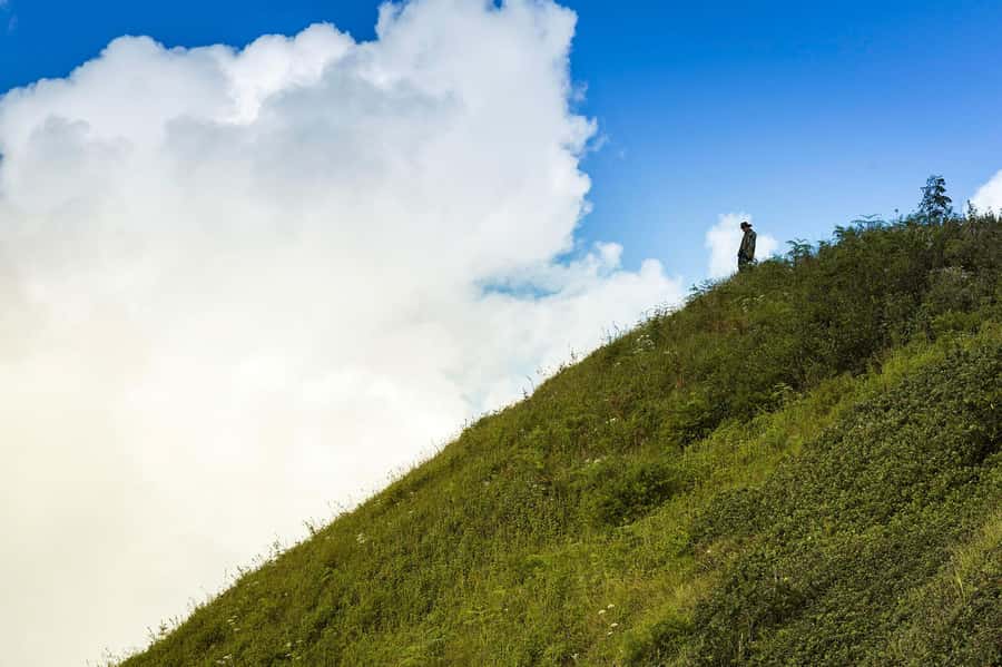Chiang Mai: Doi Inthanon National Park, Waterfall & Lunch - How much walking should you expect?