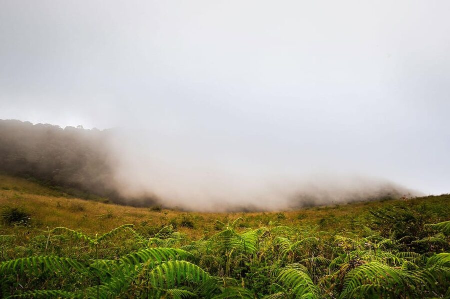Chiang Mai: Doi Inthanon National Park, Waterfall & Lunch - Guide quality and group atmosphere