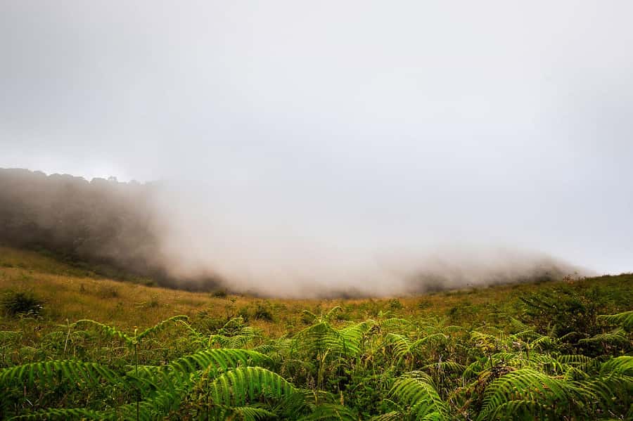 Chiang Mai: Doi Inthanon National Park, Waterfall & Lunch - Hotel pickup and the long road uphill