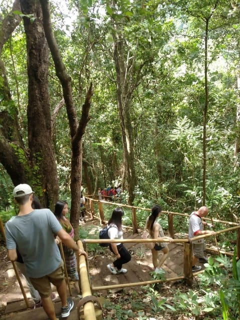 Chiang Mai: Doi Inthanon Park and Pha Dok Siew Hike Day Trip - Guides, group size, and the quality of explanation