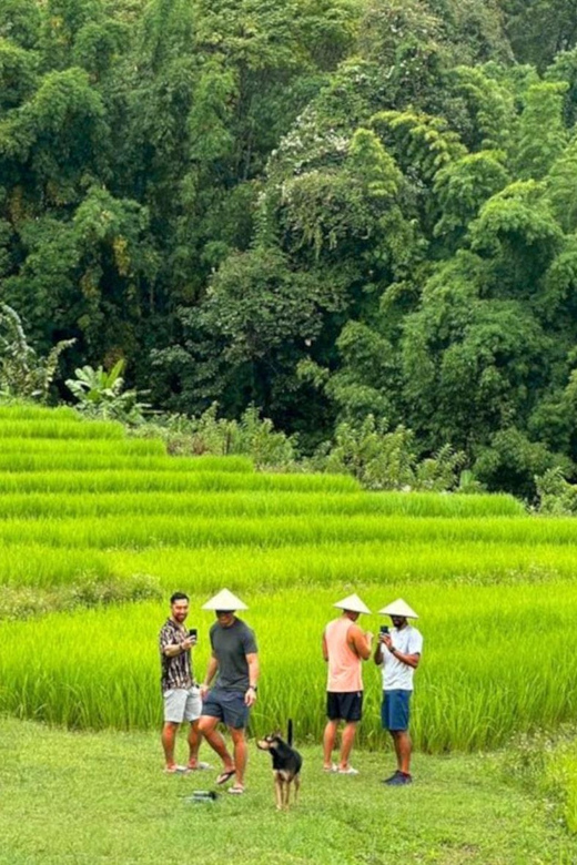 Chiang Mai: Doi Inthanon Park and Pha Dok Siew Trail Trek - Thailand’s highest point at 2,565 meters