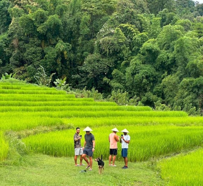 Chiang Mai: Doi Inthanon Park and Pha Dok Siew Trail Trek - The King and Queen Pagodas and their gardens