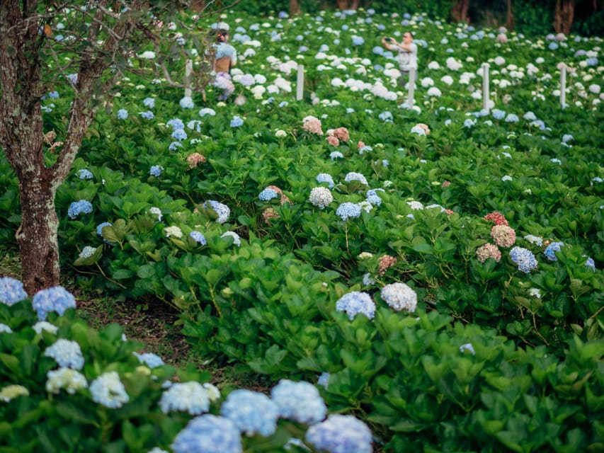 Chiang Mai: Doi Inthanon Park and Pha Dok Siew Trail Trek - Karen farming and the Baan Mae Klang Luang coffee stop