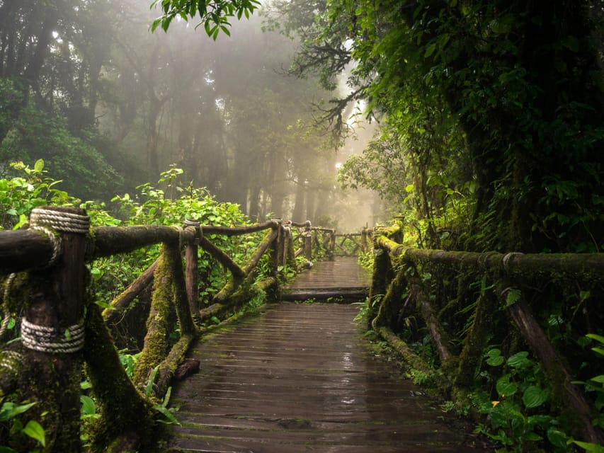 Chiang Mai: Doi Inthanon Park and Pha Dok Siew Trail Trek - Wachirathan Waterfall and the final drive home